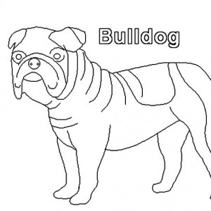 300x300 How To Draw Bulldog Coloring Pages Best Place To Color