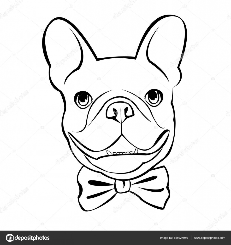 963x1024 Bulldog, Dog, Animal, French, Vector, Illustration, Pet, Breed