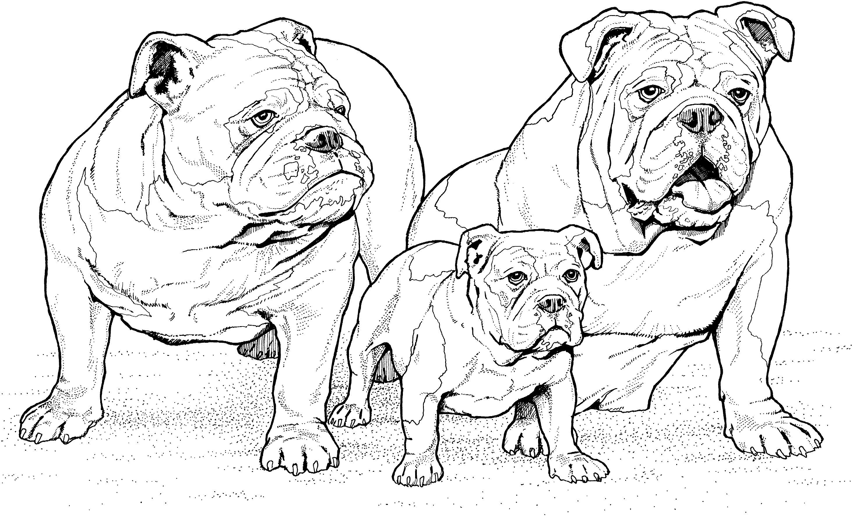 2928x1772 Bulldog Outline Drawing 12 Desktop Wallpaper