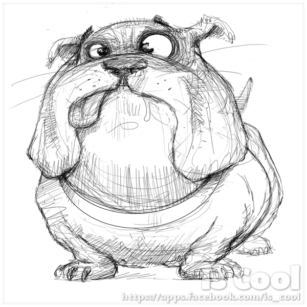 600x600 Bulldog Sketche Funny Pets Sketches, Drawings And Dog