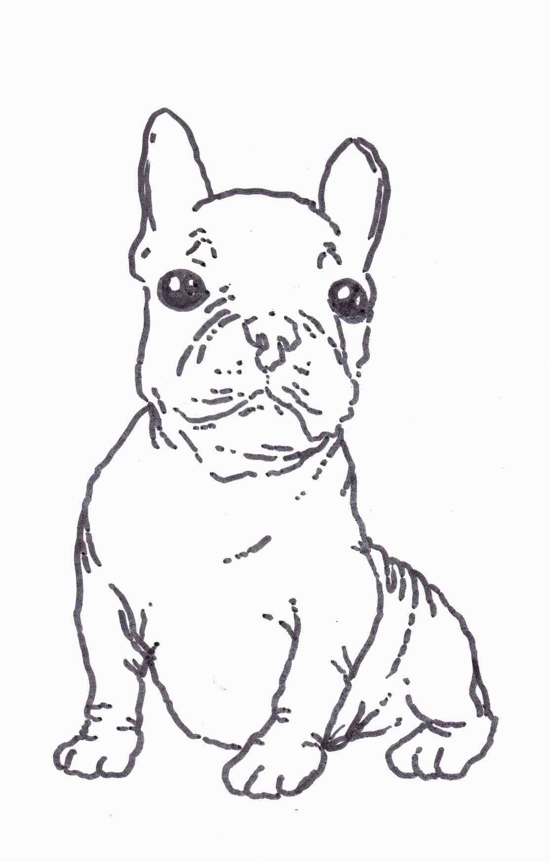 1114x1747 French Bulldog Drawing Step By Step Animalsee.club