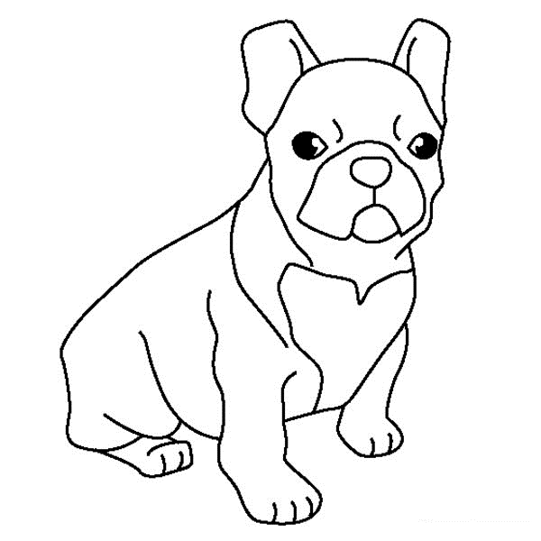 600x600 Happy Bulldog Coloring Pages Perfect Coloring
