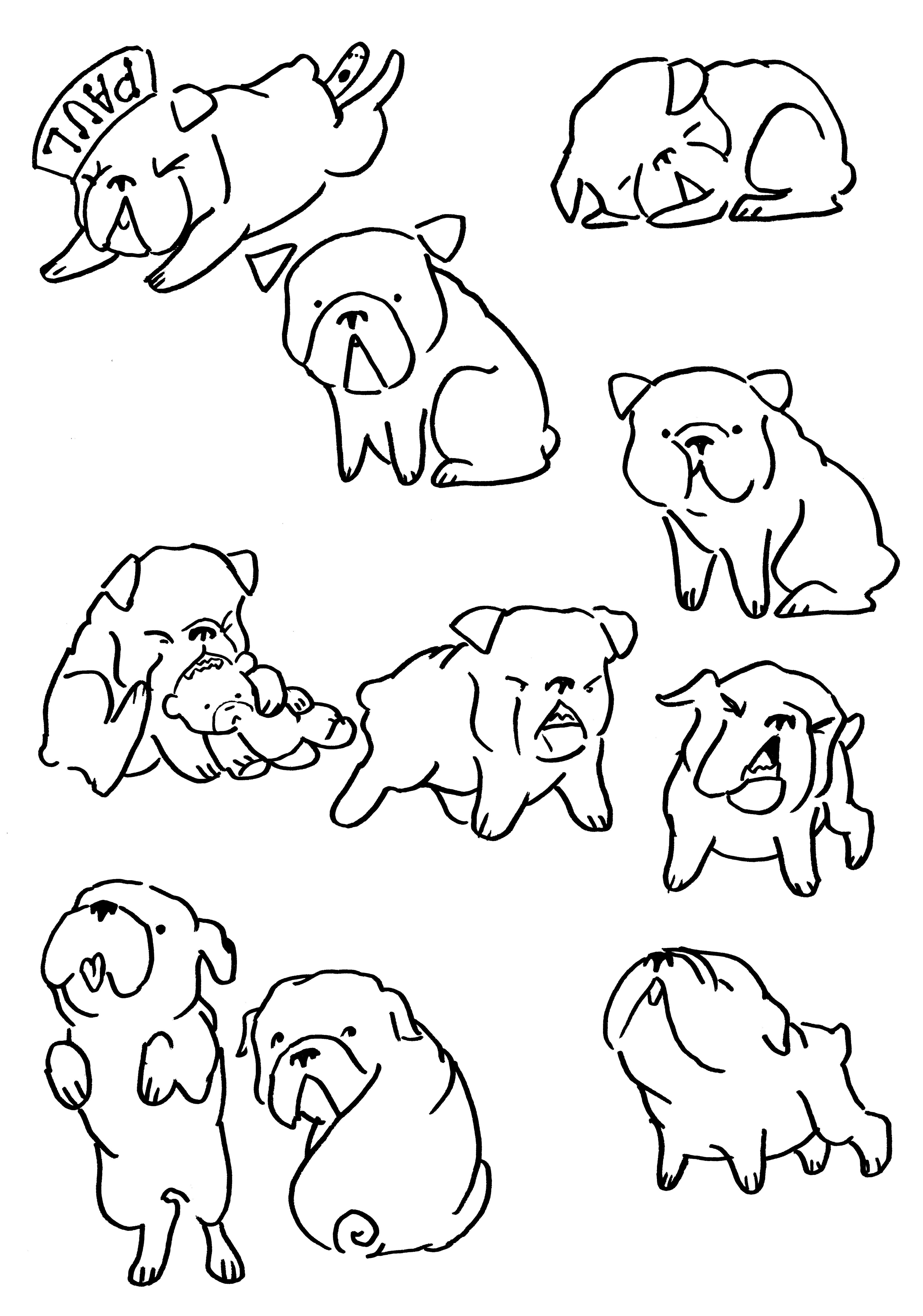 3900x5562 How To Draw A Mean Bulldog