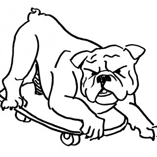 320x320 Tag For How To Draw A Bulldog Drawing Plants With Simple Forms