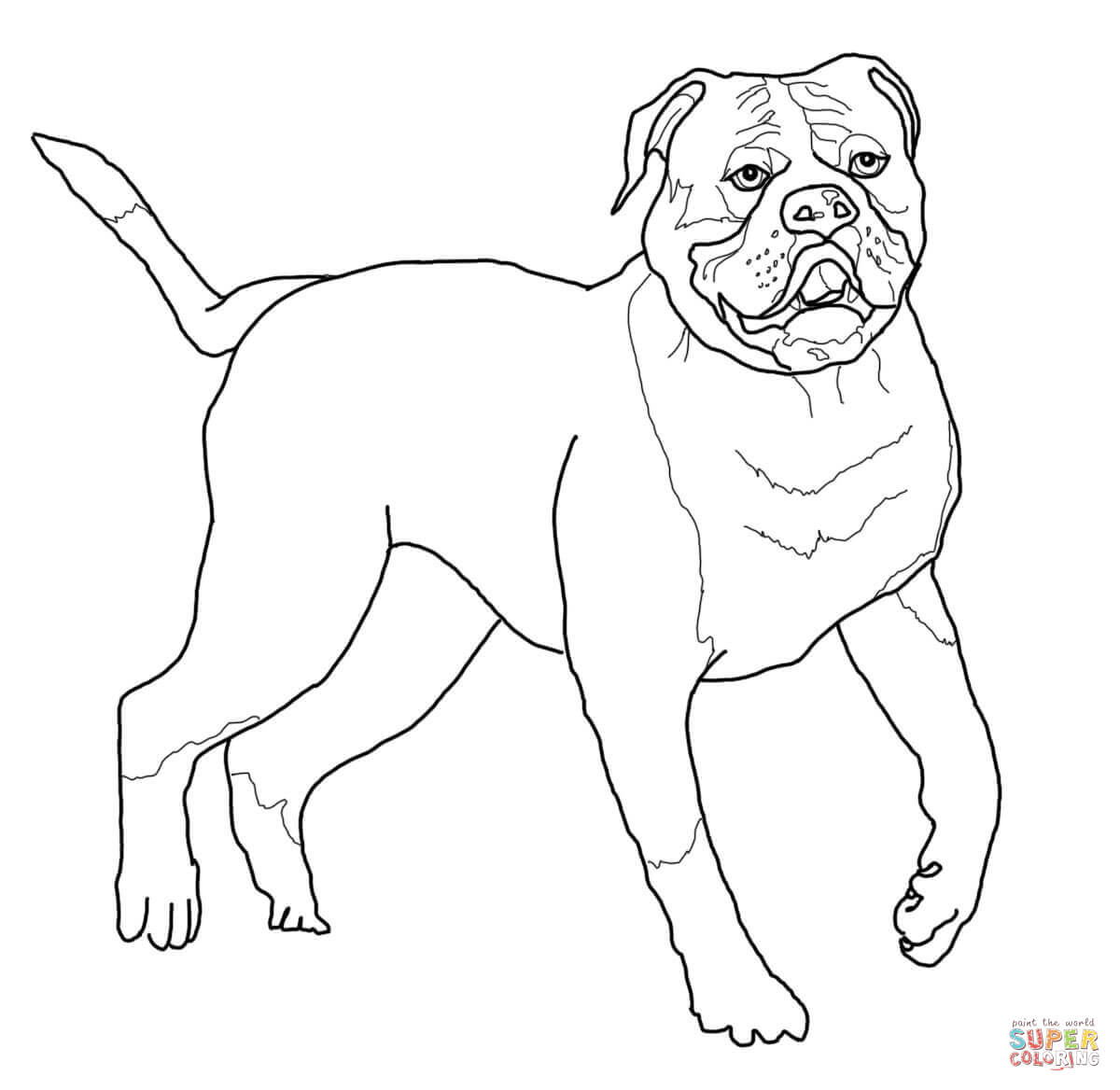 1200x1168 Bulldog Coloring Pages Printable 553319