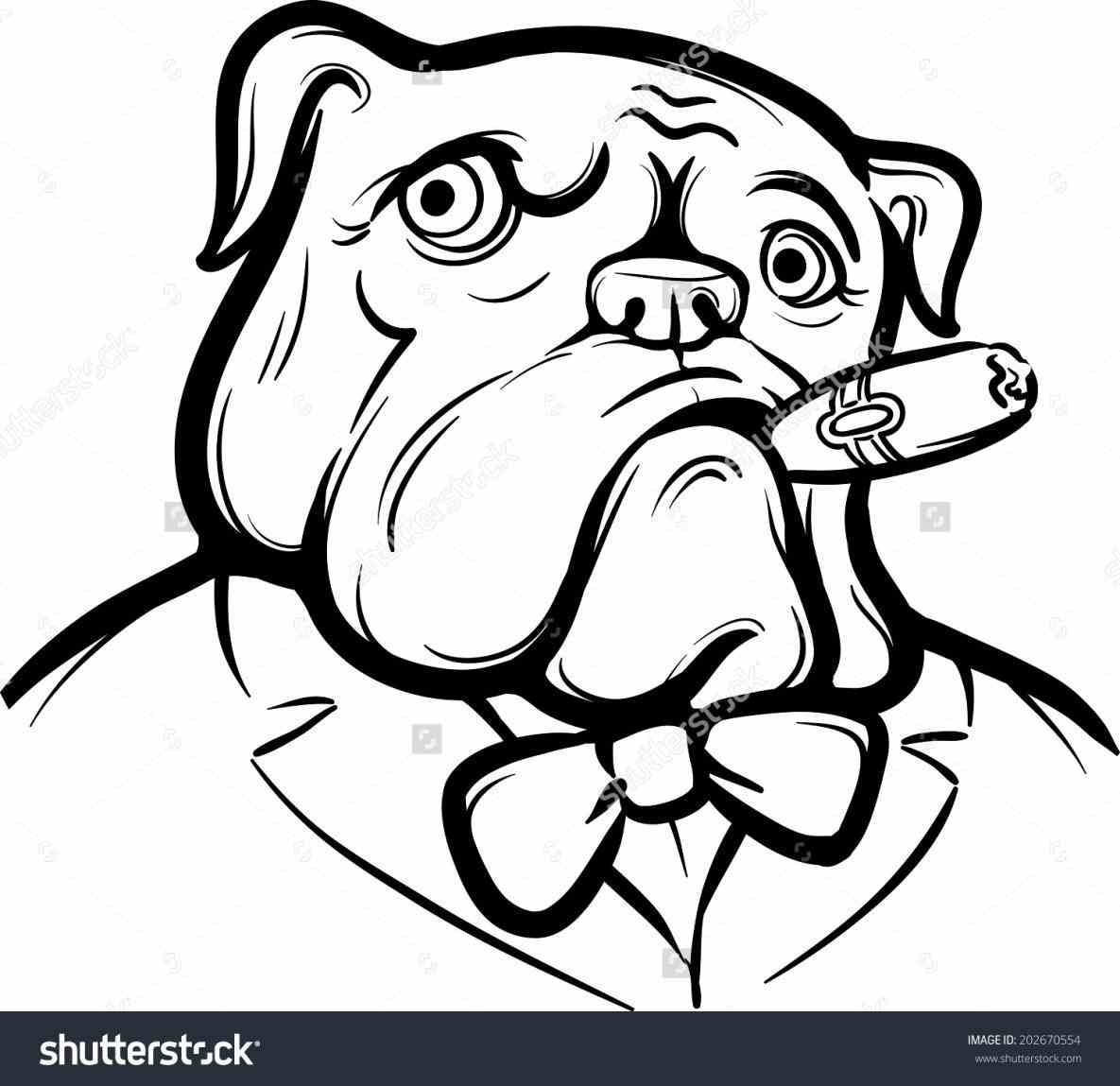 1185x1149 Bulldog Drawings Easy