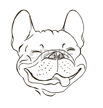 428x450 English Bulldog, Smiling Dog Face, Portrait, Sketch, Black