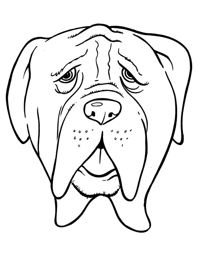 640x828 Head Bulldog With Old Age Coloring Page