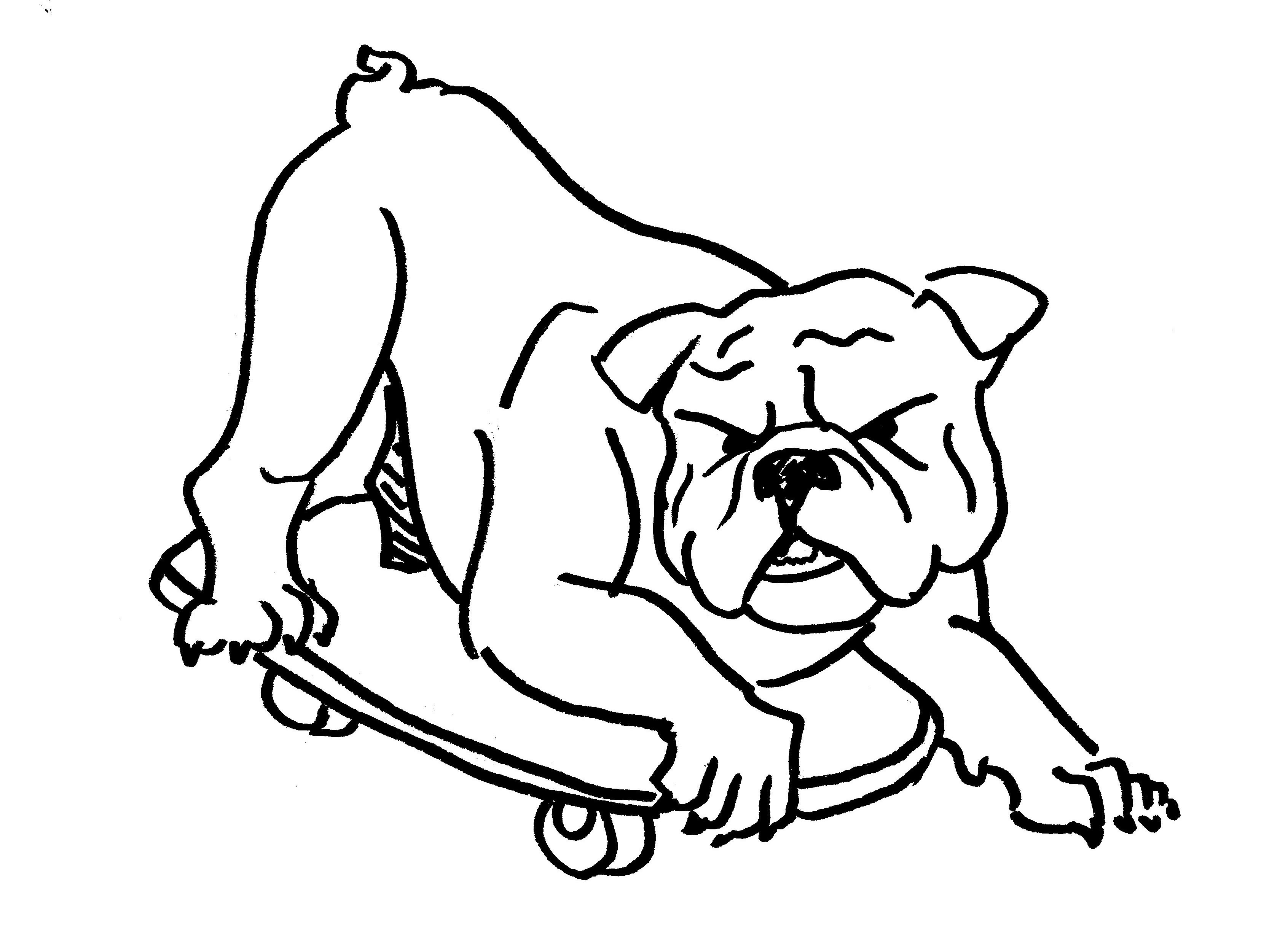 3384x2484 Tmi Dr. Bulldog On A Skateboard Edition