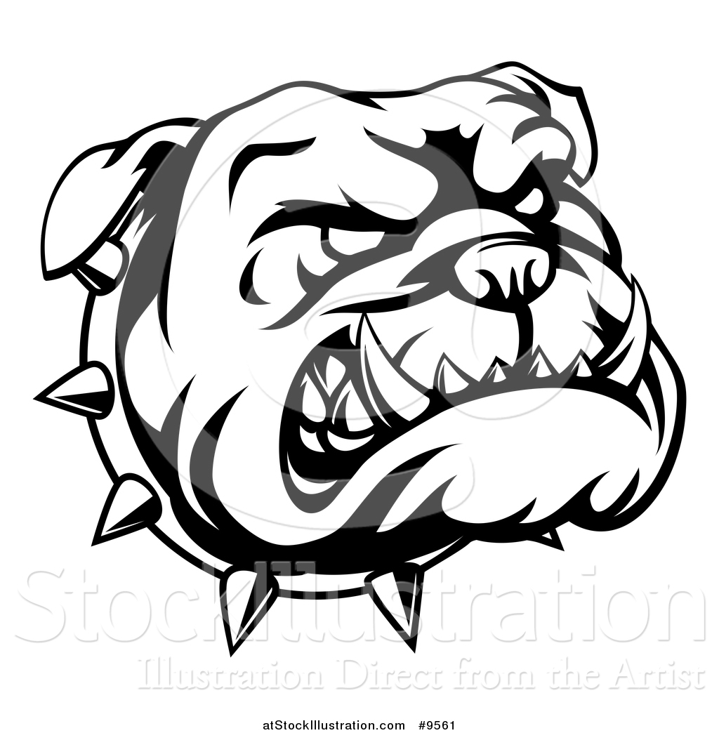 Bulldog Face Drawing at GetDrawings | Free download