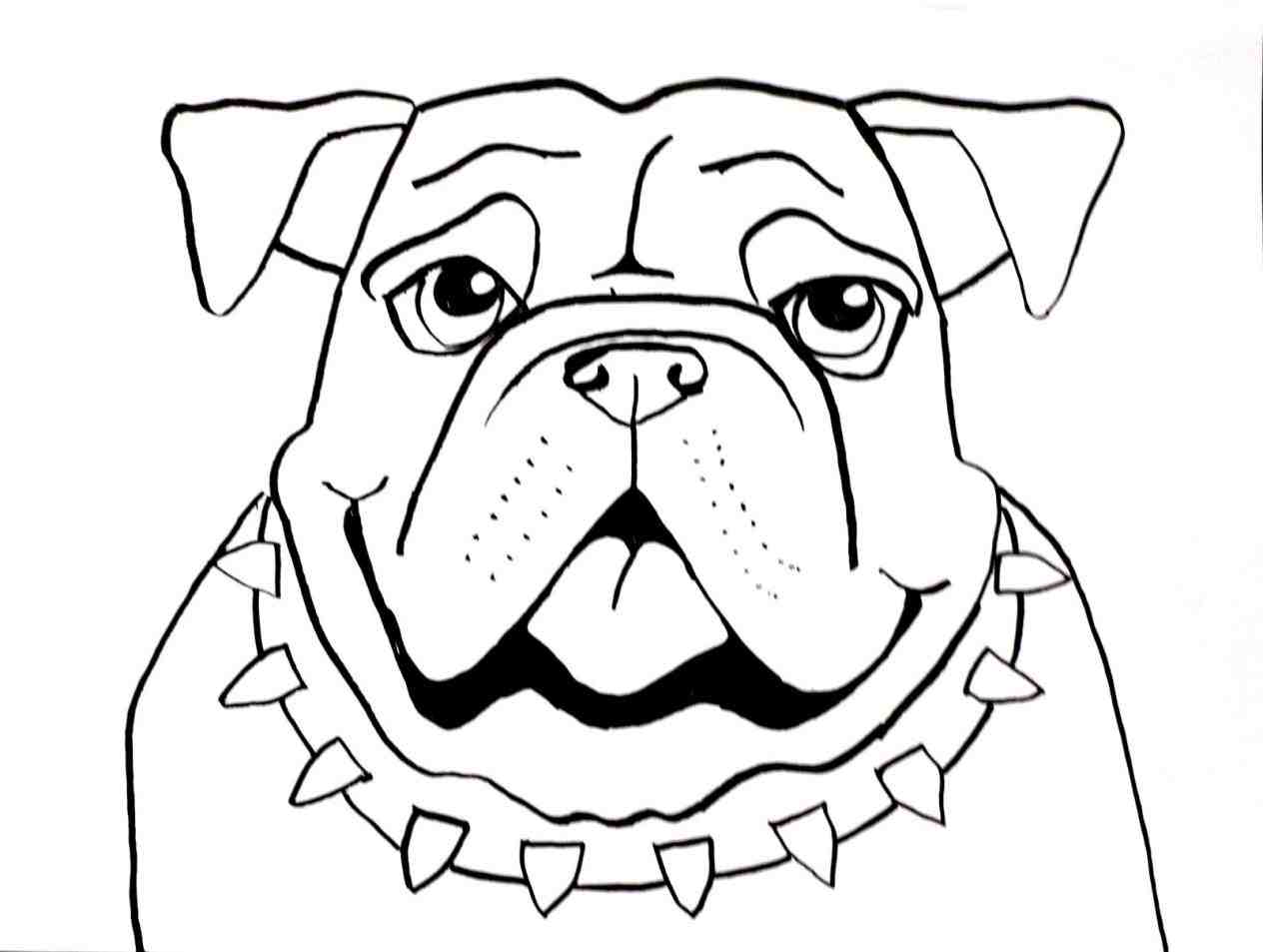 1264x953 Happy Bulldog Face Drawing