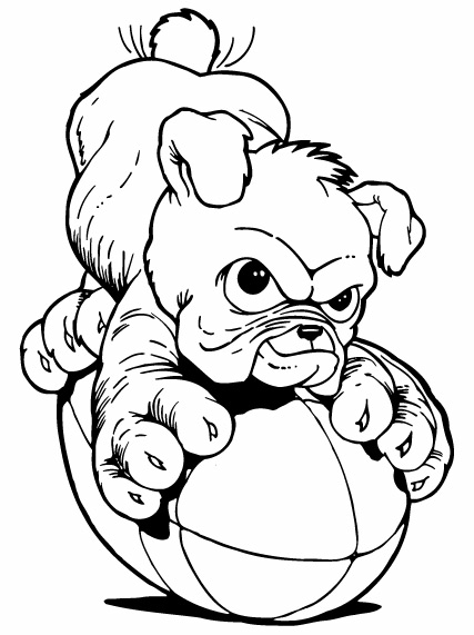427x571 Drawn Bulldog Football