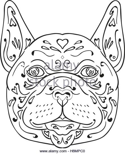 440x540 French Bulldog Stock Vector Images