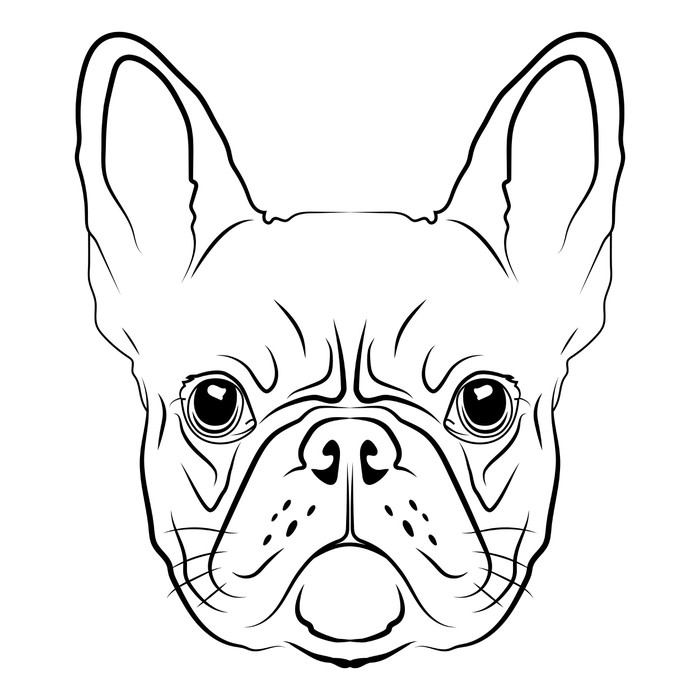 700x700 French Bulldog Head Logo Or Icon In White. Wall Mural Pixers