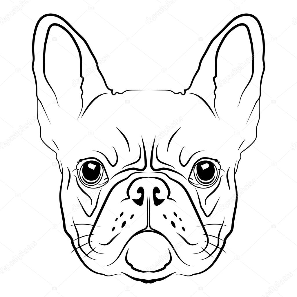 1024x1024 French Bulldog Head Stock Vector Victoria Novak