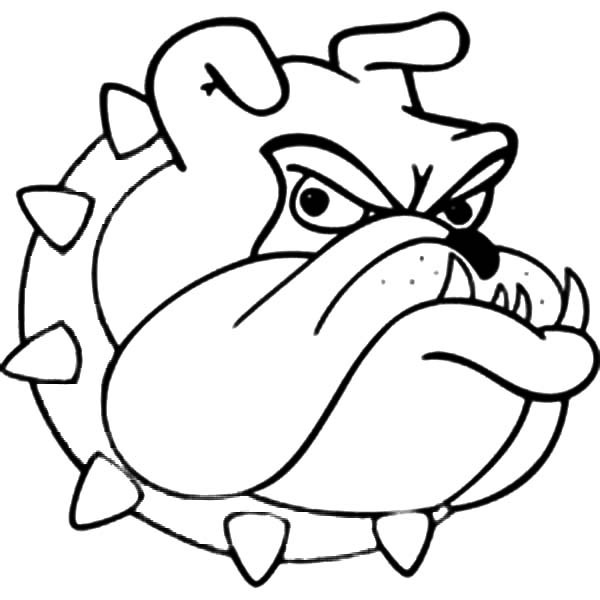 600x600 Picture Of Bulldog Head Coloring Pages Best Place To Color