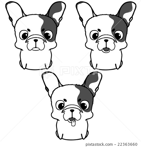 450x468 Set Of French Bulldog Puppies