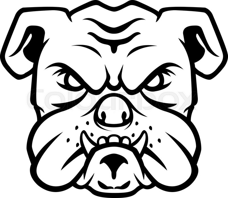 800x694 Bulldog Head Symbol Stock Vector Colourbox