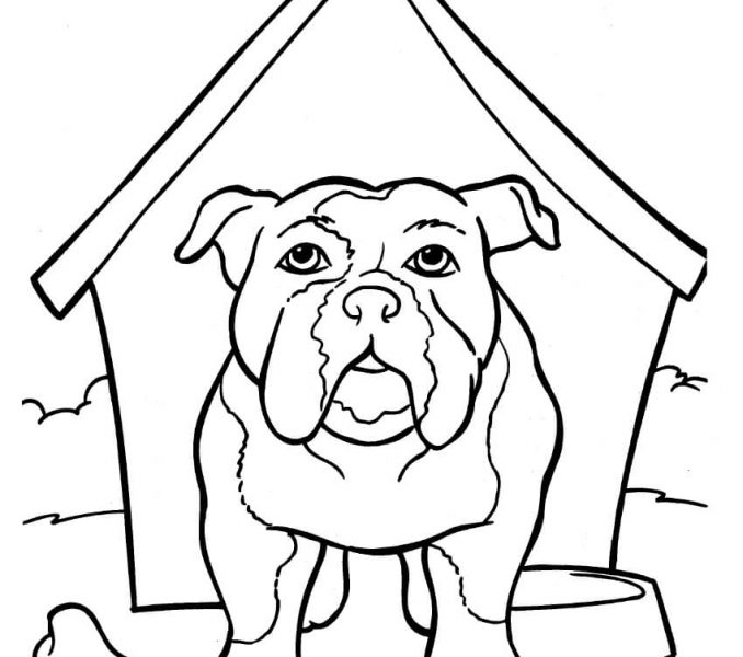 678x600 Draw French Bulldog Coloring Pages 18 In Line Drawings With French