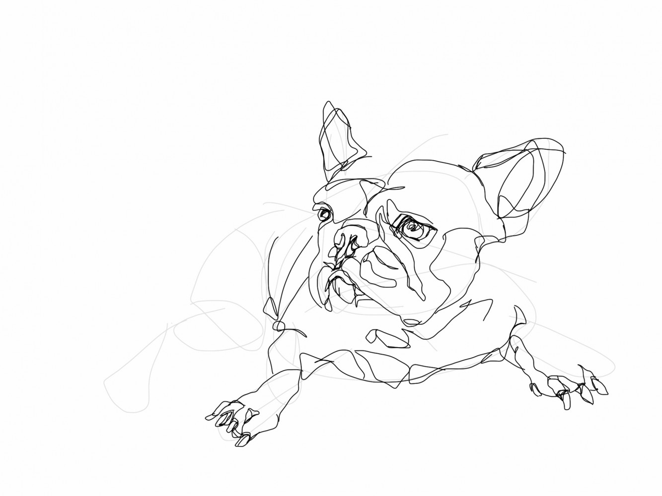 1333x1000 French Bulldog Line Drawing