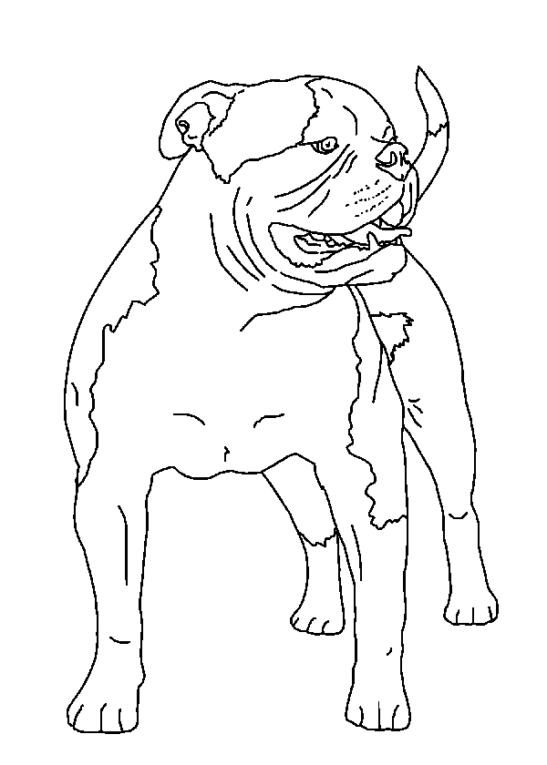 600x840 Order A Personalized Pet Memorial Stone