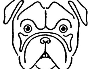 320x240 Printable Drawing Pictures Vintage Kids Printable Draw A Bulldog