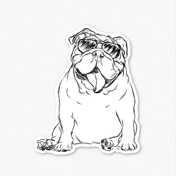 564x564 English Bulldog Line Drawing