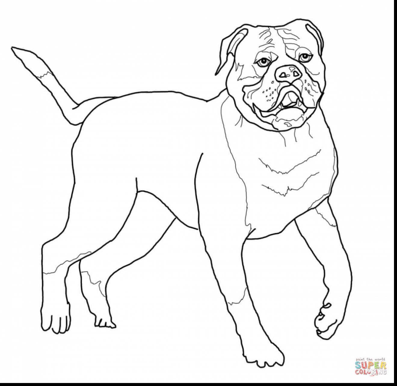1320x1284 Surprising American Bulldog Coloring Pages With Bulldog Coloring