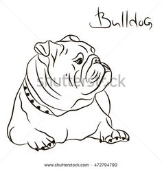 236x246 Bulldog Sketche Bulldogs Sketches, Drawings And Dog
