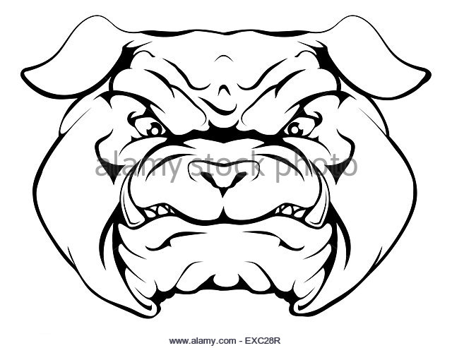 640x493 Bulldog School Mascot Stock Photos Amp Bulldog School Mascot Stock
