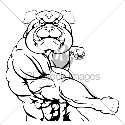 500x500 Punching Bulldog Mascot Gl Stock Images