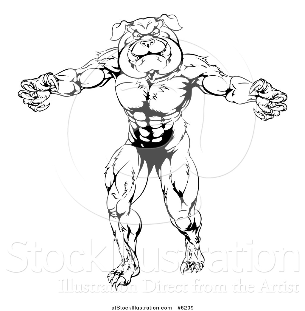 1024x1044 Vector Illustration Of A Black And White Angry Muscular Bulldog