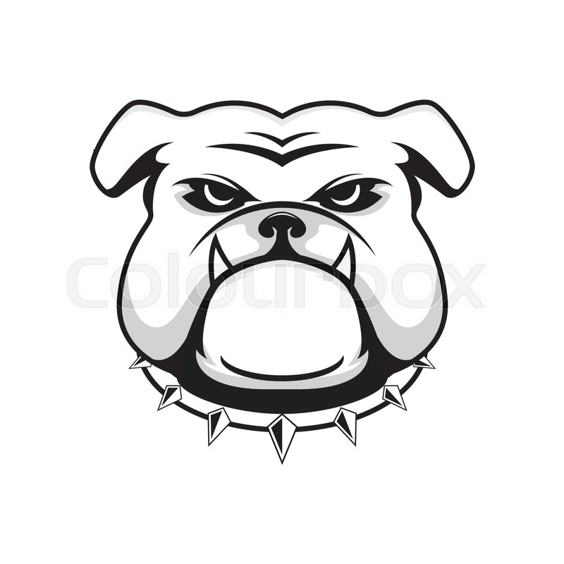 800x800 Vector Illustration Head Ferocious Bulldog Mascot, On A White