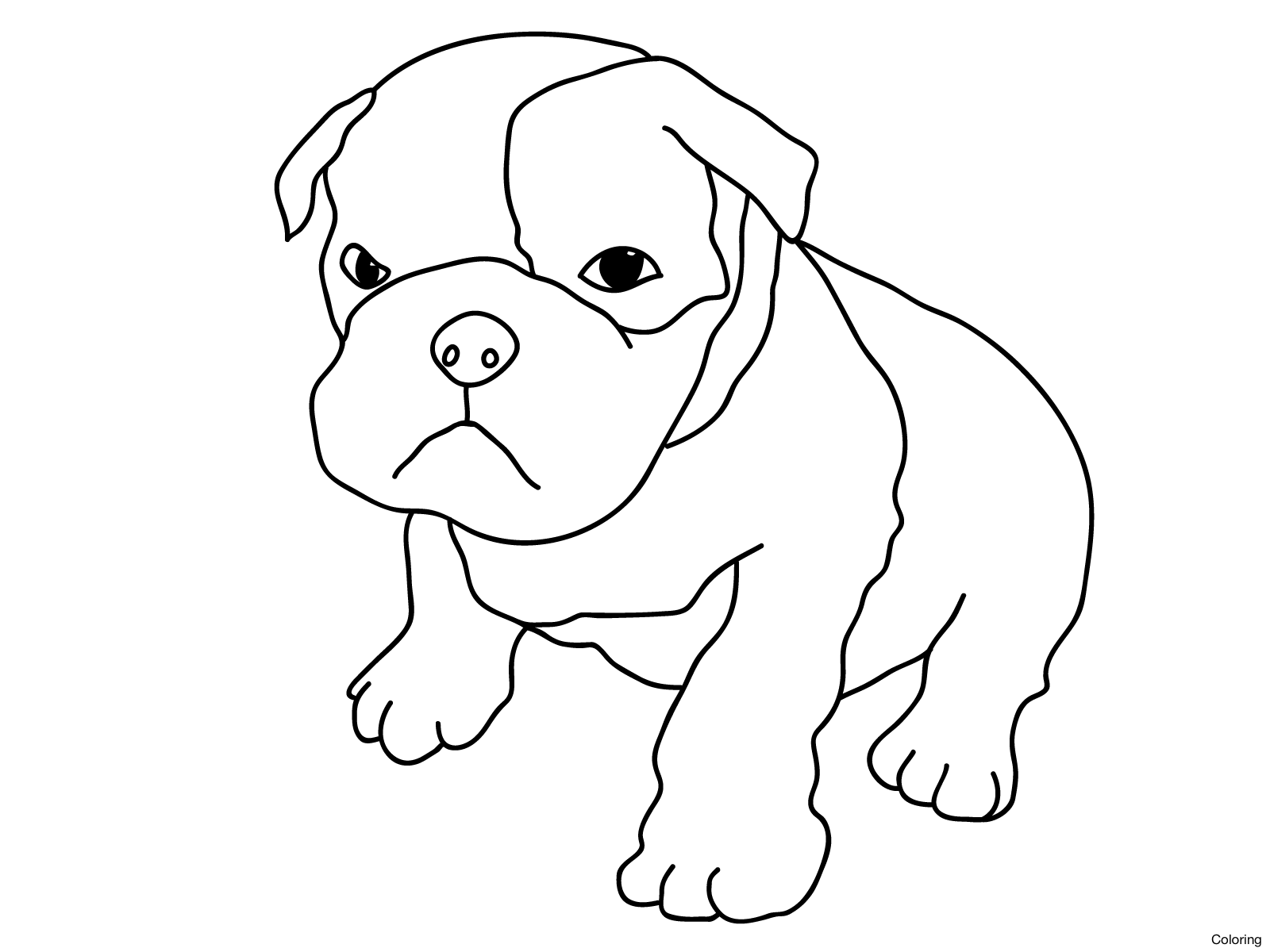 1600x1200 Cat And Puppy Dog Coloring Page Pictures Of Puppies To Color 3f