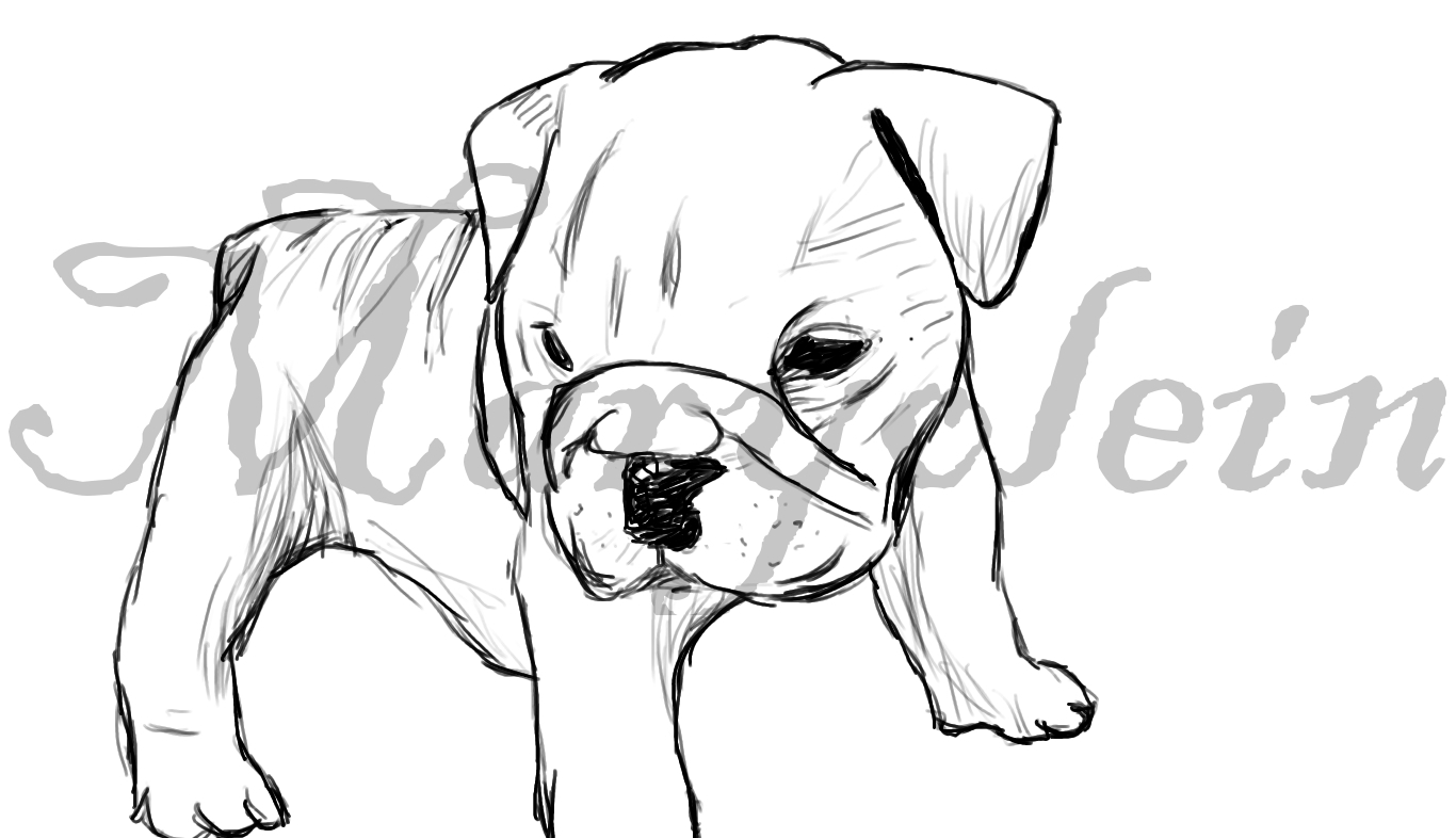 1366x786 Drawing Of A Bulldog Drawn Bulldog Bulldog Puppy