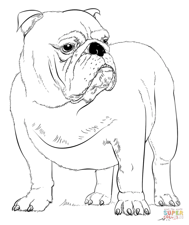 734x871 English Bulldogs With Puppy Coloring Page Free Printable
