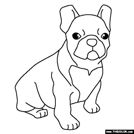 560x560 100% Free Coloring Page Of A French Bulldog Puppy. Color In This