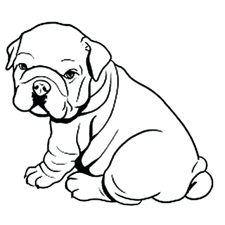 730x730 Free Georgia Bulldog Coloring Sheets