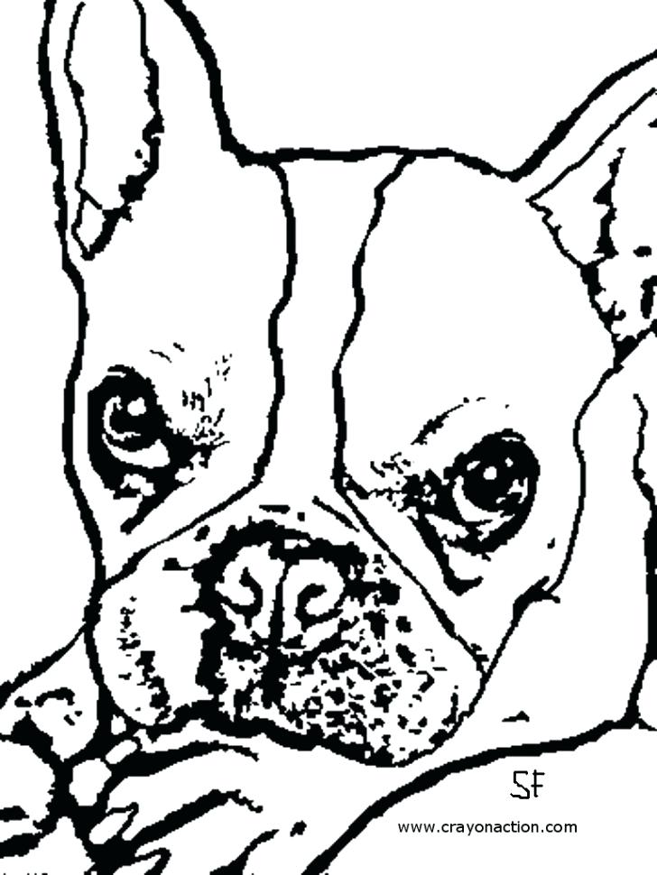 728x970 French Bulldog Coloring Page Crayon Action Pages Face Medium Size