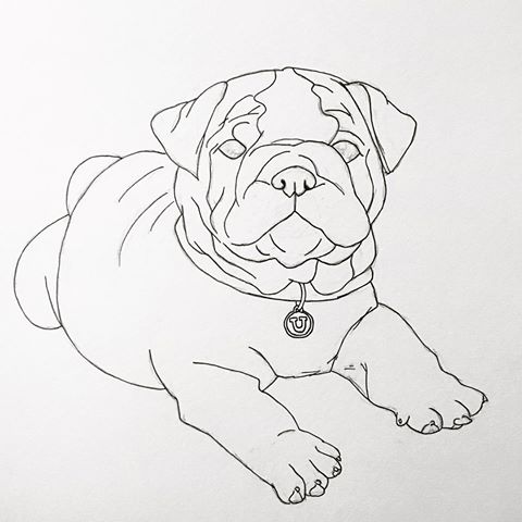 480x480 Authentically Aurora (@auroraroschen) Instagram Photos And Videos