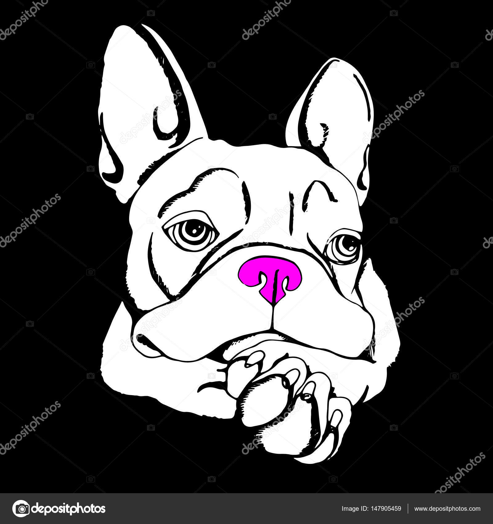 1600x1700 Bulldog, Dog, Animal, French, Vector, Illustration, Pet, Breed