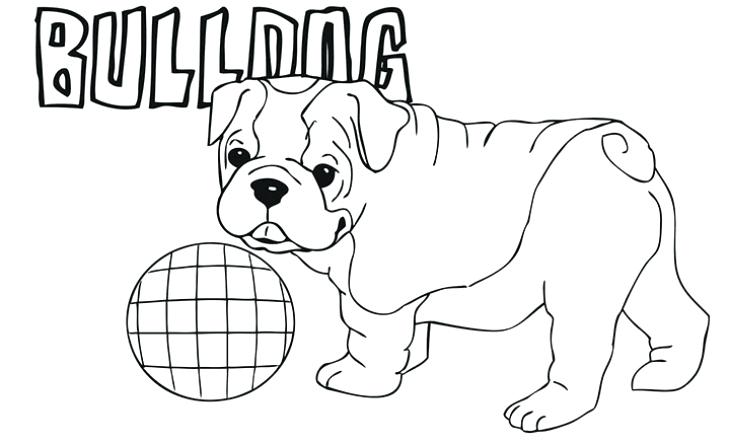 730x444 Cute Coloring Pages Of Puppies