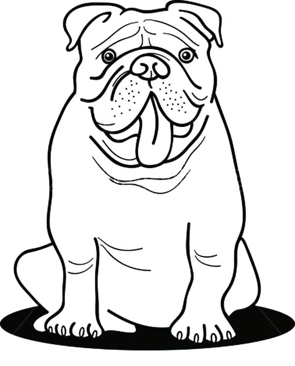 600x746 This Is Bulldog Coloring Page Images