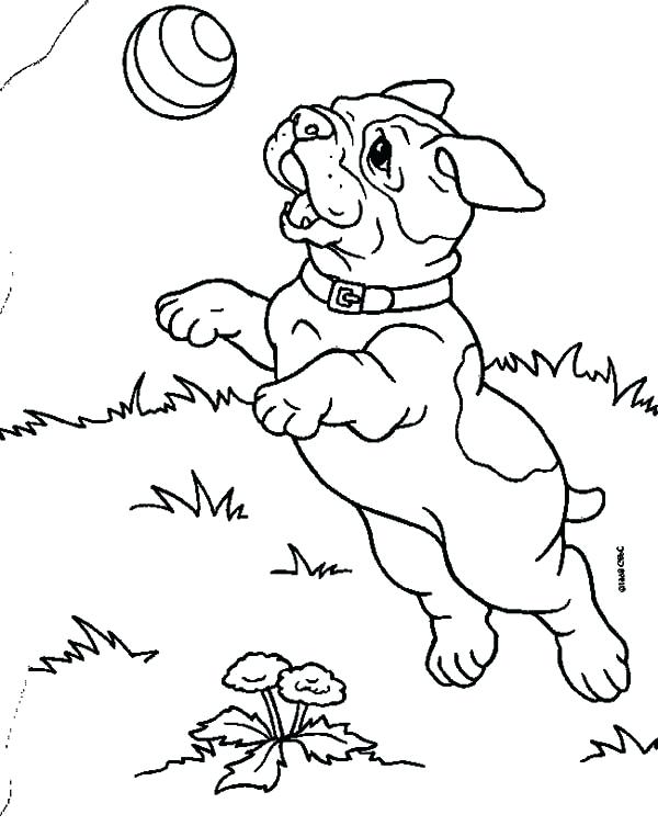 600x753 Bulldog Coloring Page French Pages Puppy On Cartoon Pictures