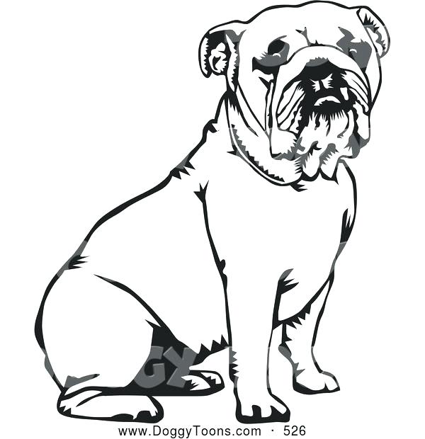 600x620 Bulldog Coloring Pages View Larger Ga Bulldog Coloring Pages