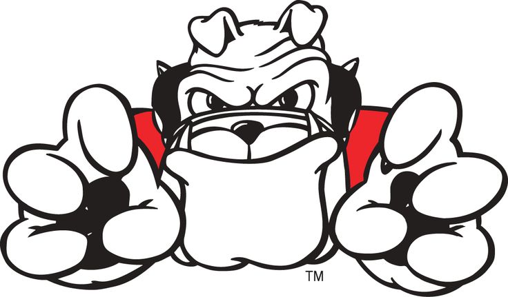736x431 Cartoon Bulldog Clipart 3