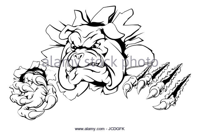 640x423 Angry Cartoon Bulldog Head Stock Photos Amp Angry Cartoon Bulldog