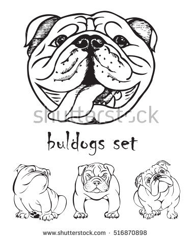 375x470 Drawn Bulldog Black And White
