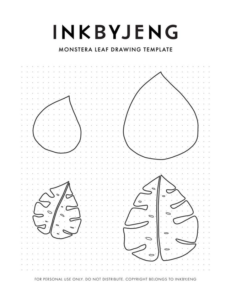 736x952 Inkbyjeng Drawing Tutorial Monstera Leaf Template.jpg Drawing
