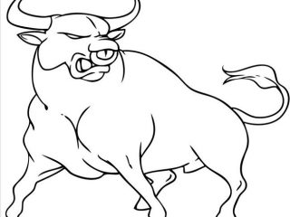 320x240 Bulls Coloring Sheets To Draw A Cartoon Bull Coloring Page Free